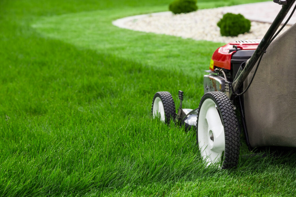 Lawn care service at Orono Excelsior Wayzata Minnetrista Deephaven Minnetonka Chanhassen MN